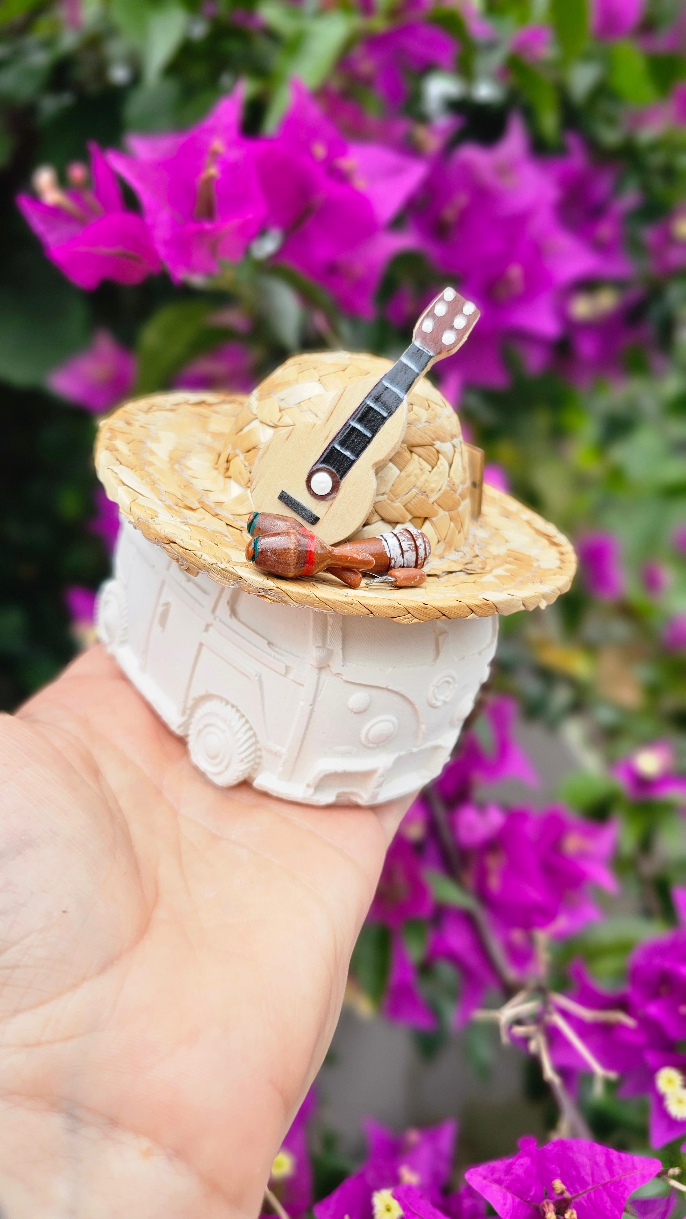 Guagua Volky Jibara